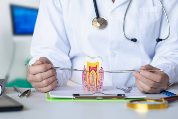Best Emergency Dental Services for Seniors in Robbins, IL